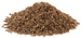 Caraway Seed, Whole, 1 oz (Carum carvi)