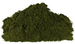Chlorella, Powder, Organic 16 oz (Chlorella vulgaris)