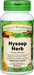 Hyssop Herb Capsules - 500 mg, 60 Veg Capsules (Hyssop officinalis)