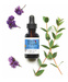 Antioxidant Facial Oil, 30 ml /1 fl oz (Mad Hippie)