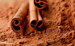 FREE GIFT: Cinnamon Bark, Cassia, Powder, 1 oz (Cinnamomum aromaticum)