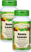 Senna Leaf Capsules, Organic  - 550 mg, 60 Veg Capsules each (Cassia angustifolia)