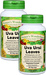 Uva Ursi Capsules - 625 mg, 60 Veg Capsules each (...